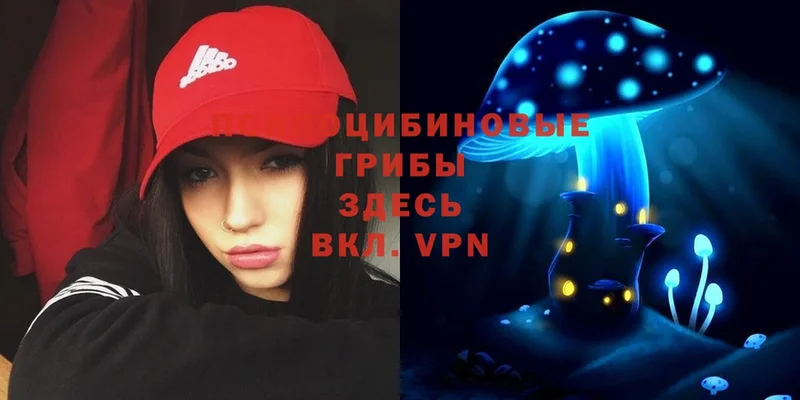 где продают   площадка Telegram  Галлюциногенные грибы Psilocybe  Искитим  blacksprut рабочий сайт 